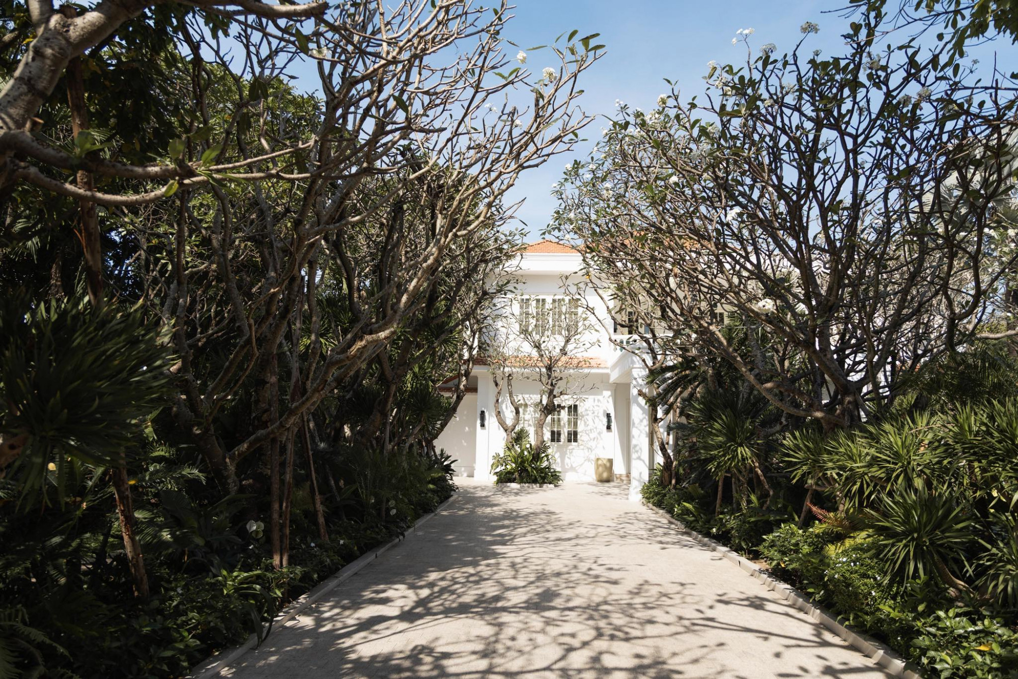 NTK ưa chuộng những loại cây thân gỗ, khi lớn lên có thể tạo ra bóng mát cho khu vườn. Anh cũng mất nhiều thời gian để tìm được những loại cây, dáng cây ưng ý bổ sung cho khu vườn này. 