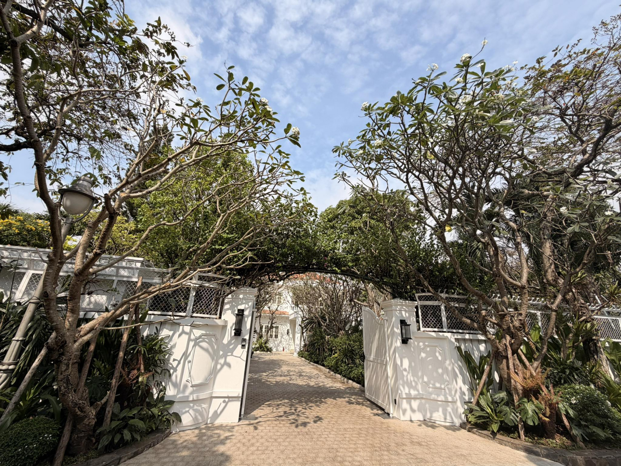 Căn biệt thự này rộng khoảng 2.000 mét vuông. Phía trước cổng vào có trồng 2 cây sứ hoa trắng. Đây cũng là một trong những loài cây được trồng nhiều nhất trong vườn của Đỗ Mạnh Cường. 