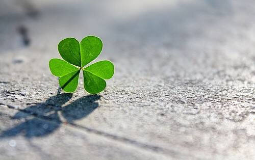 Ai cũng nhìn thấy những đám cưới rộn ràng hạnh phúc, nhưng cuộc sống hôn nhân có bao giờ đẹp như hoa...