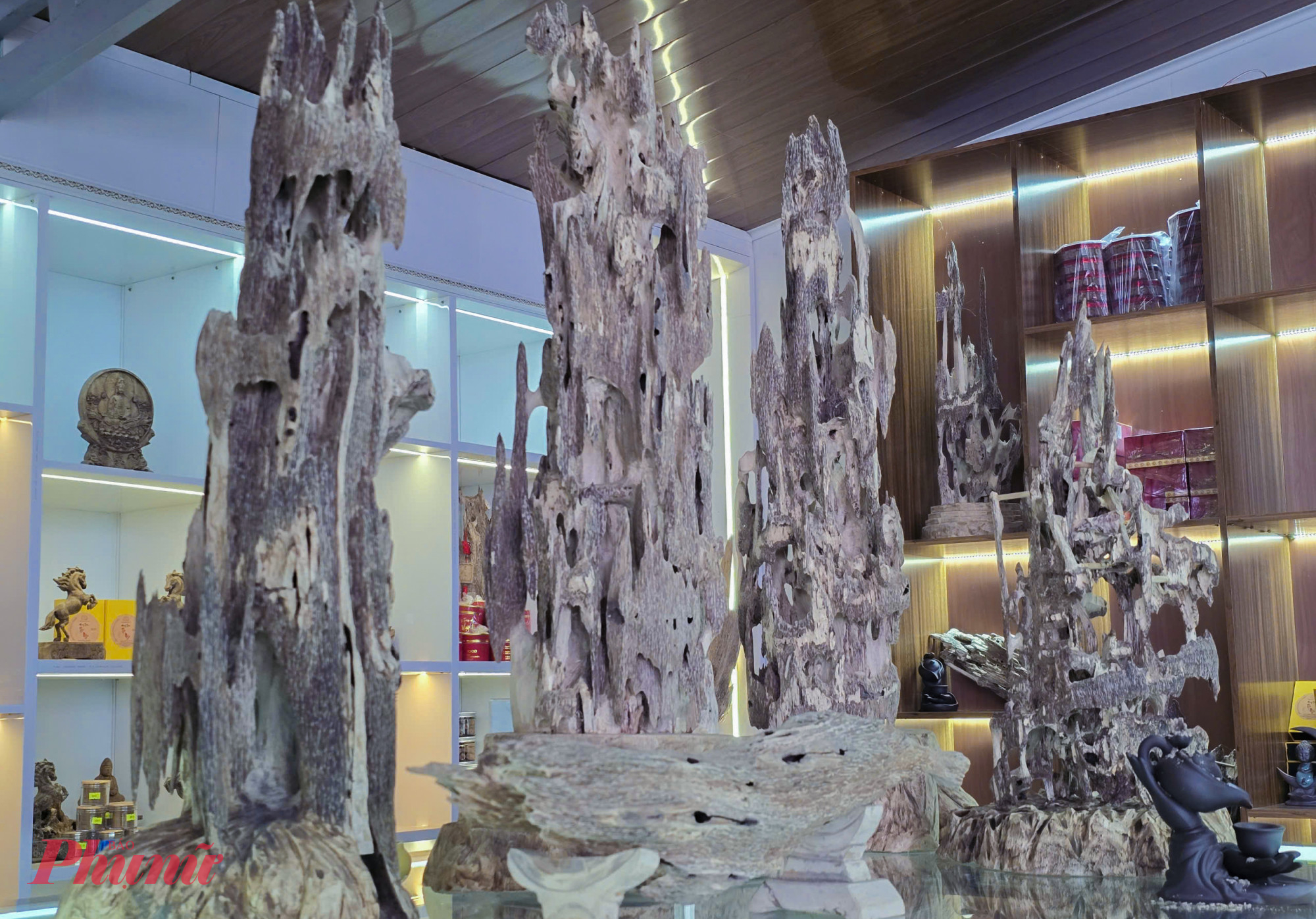 Với những cây có trầm tự nhiên, khối lượng không đồng đều, khó đong đếm. Giá trầm nguyên liệu hiện từ 10 triệu đồng/kg trở lên, còn trầm cảnh có giá dao động từ vài triệu đồng đến hàng chục, hàng trăm triệu đồng, thậm chí có sản phẩm trị giá cả tỉ đồng.