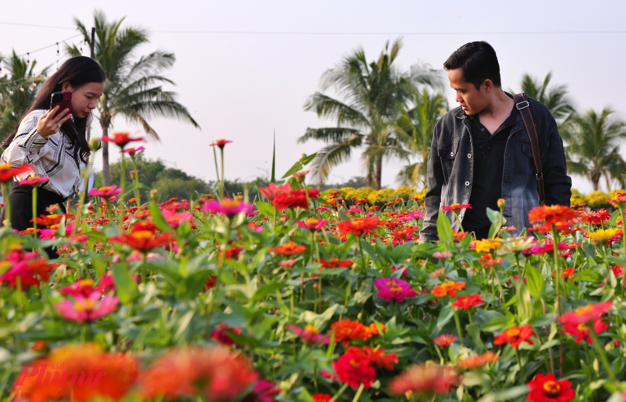 Đủ loại hoa để khiến du khách mê mẩn, lạc bước trong vườn hoa rộng lớn.