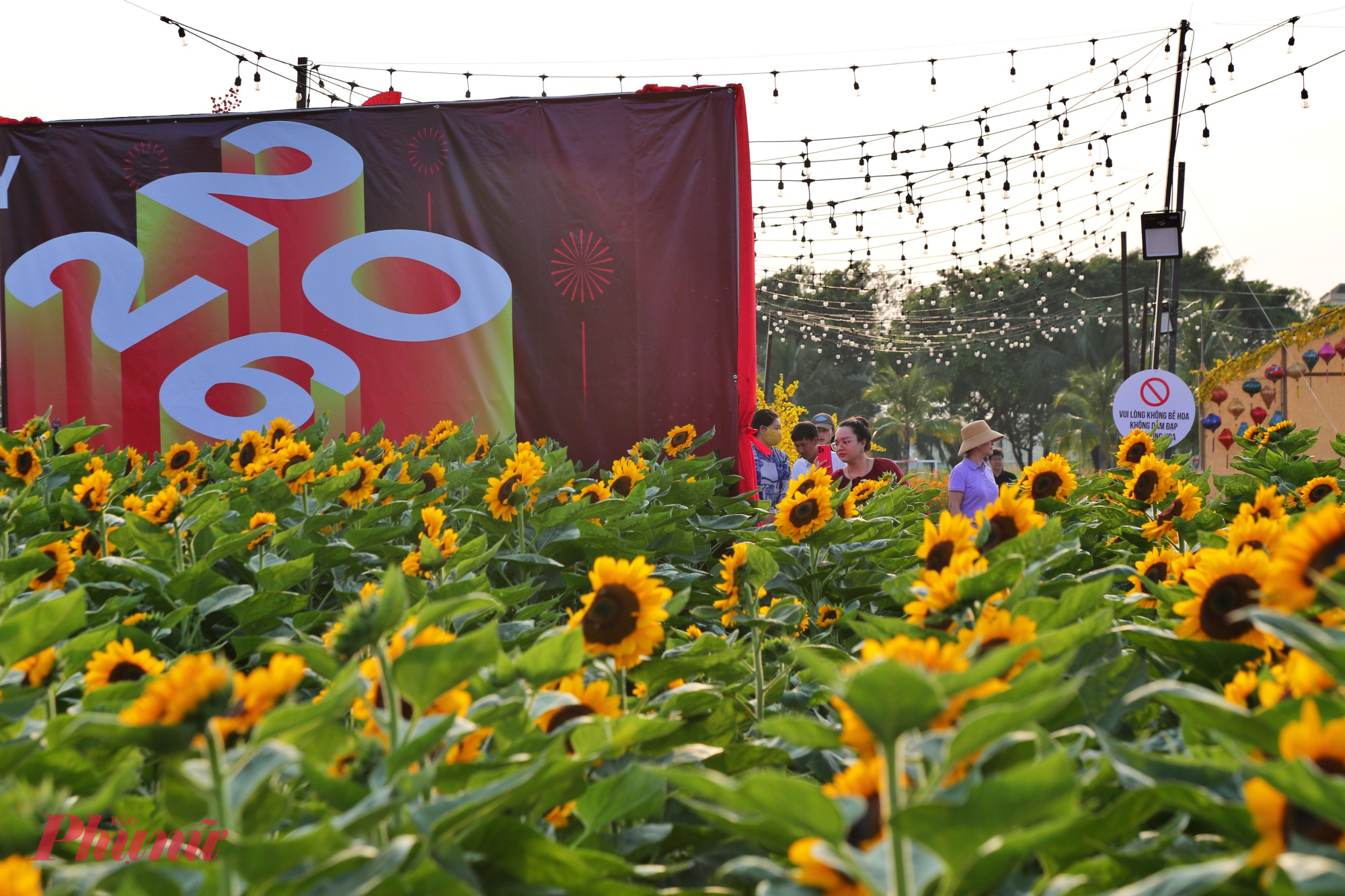 Ngay từ cổng vào, không gian lễ hội đã rực rỡ sắc xuân, thu hút nhiều gia đình, bạn trẻ và các nhóm du khách dừng chân chụp ảnh. 