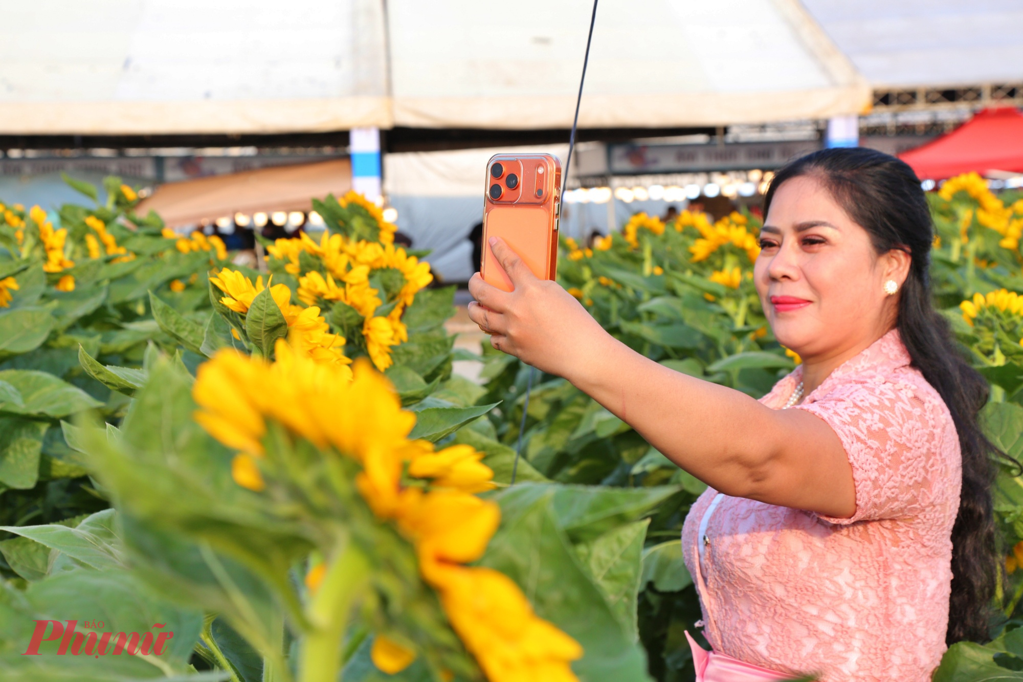 Du khách hòa mình vào vườn hoa hướng dương đang khoe sắc rực rỡ.