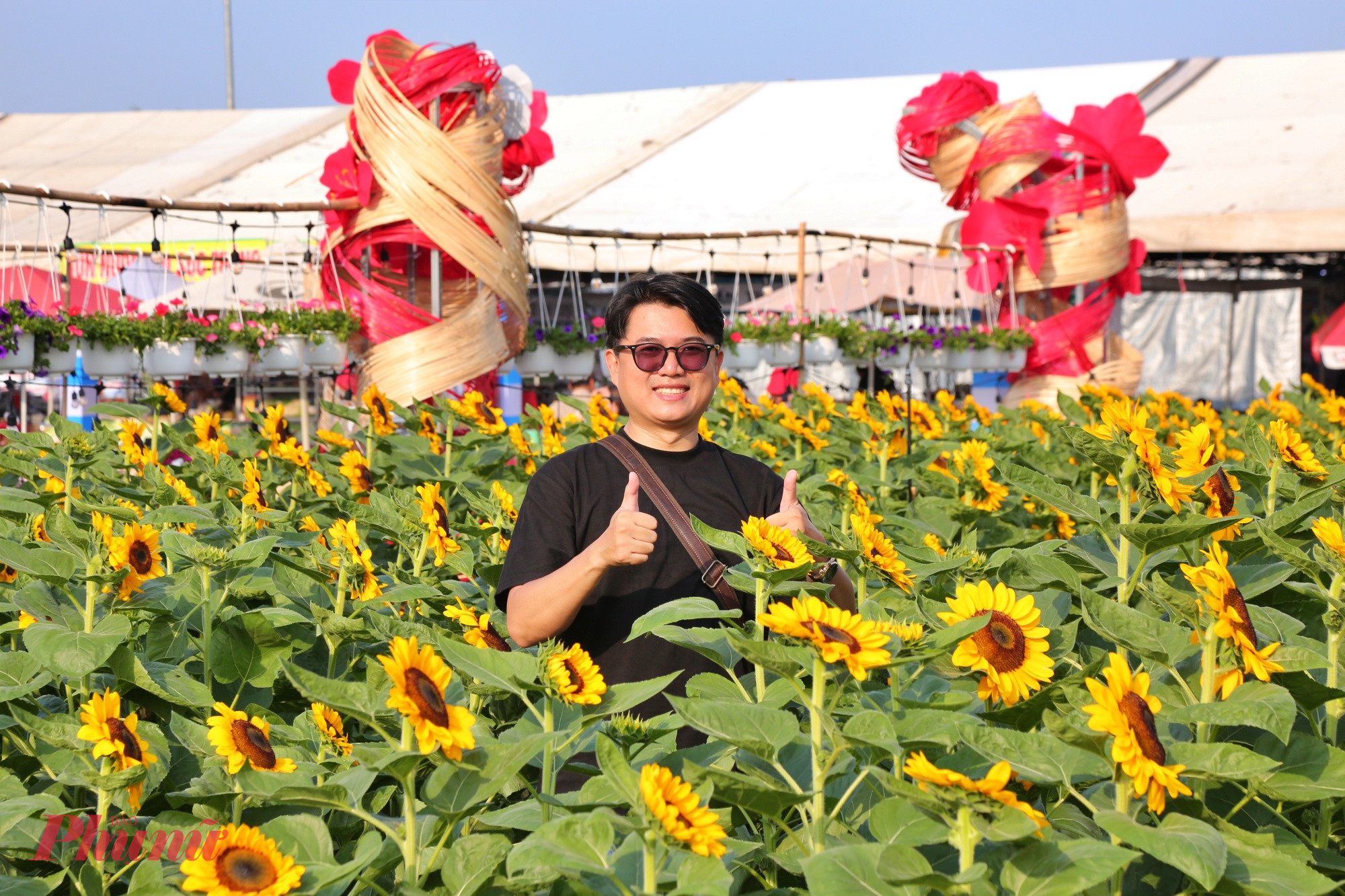 Nhiều bạn trẻ check in cùng vườn hoa hướng dương.