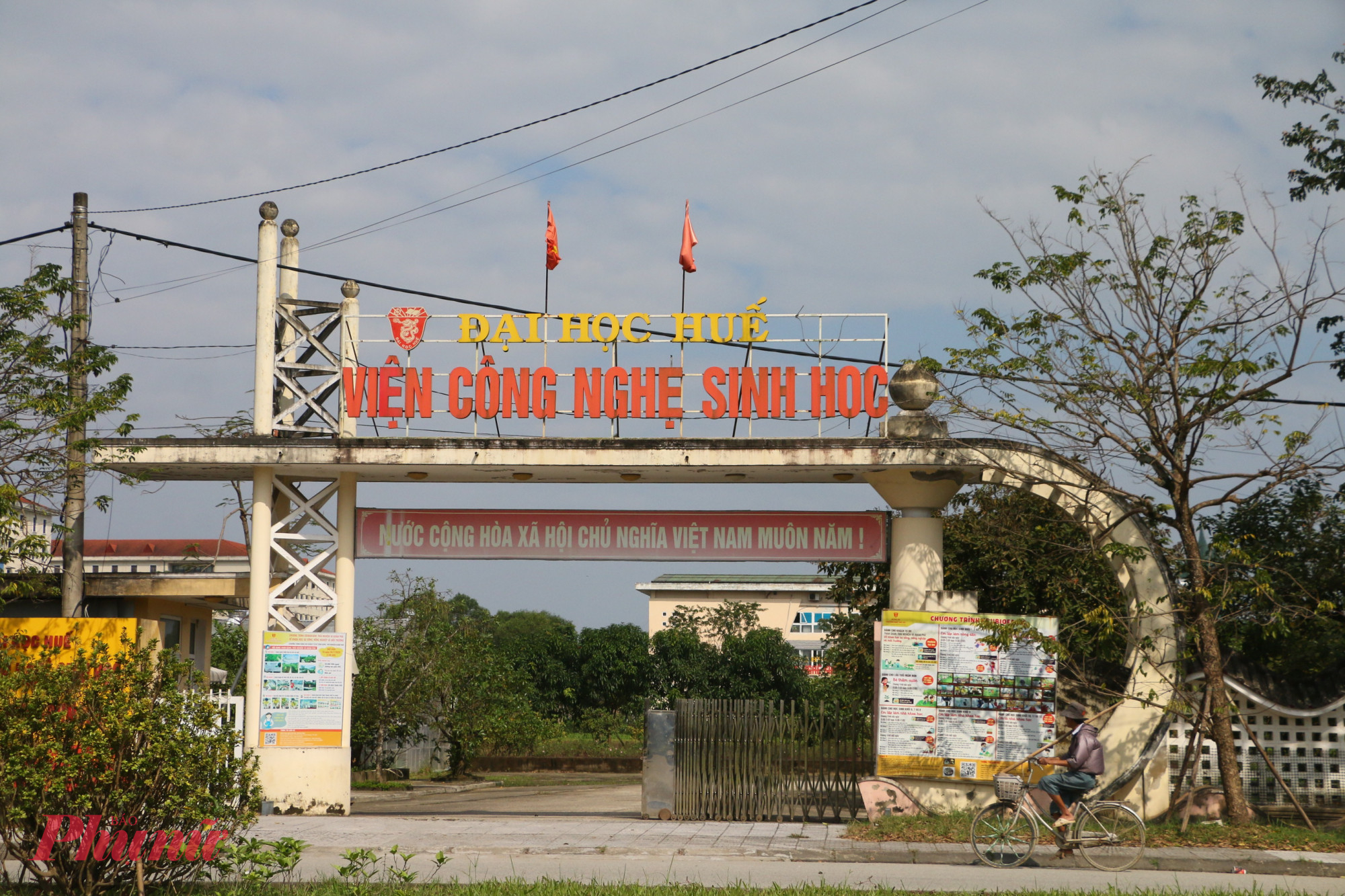 Viện trưởng Viện Công nghệ sinh học đóng tại phường Mỹ Thượng TP Huế