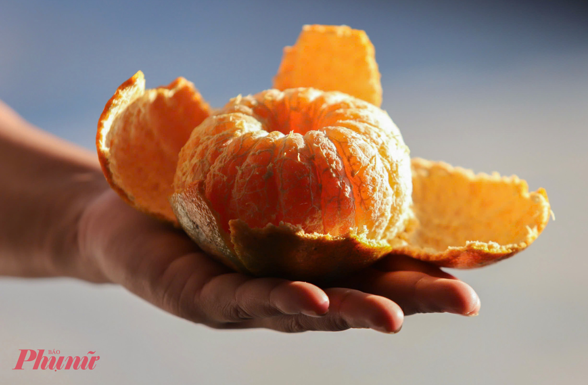 Khi bổ quả, hương thơm lan tỏa, múi cam mọng nước, vị ngọt thanh xen chút chua dịu, ăn không gắt nhưng đủ đậm đà để “ăn một lần là nhớ”.