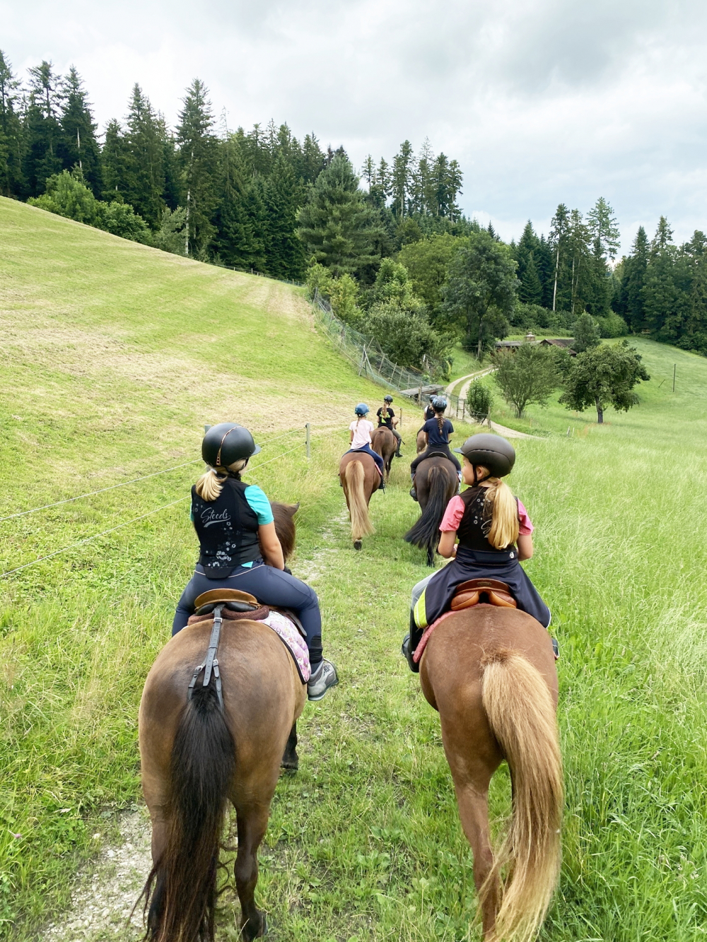 Ở Thụy Sĩ, học cưỡi ngựa là một kỹ năng cần thiết để trẻ tăng sự kết nối với thiên nhiên, động vật