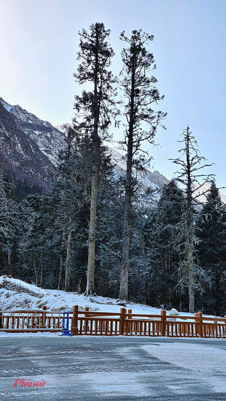 Nhiệt độ xuống tới -13°C, hồ nước đóng băng, núi tuyết trùng điệp và rừng thông chìm trong sương giá đã biến nơi đây thành điểm đến lý tưởng cho du khách yêu thiên nhiên hoang sơ và khung cảnh mùa đông ngoạn mục.