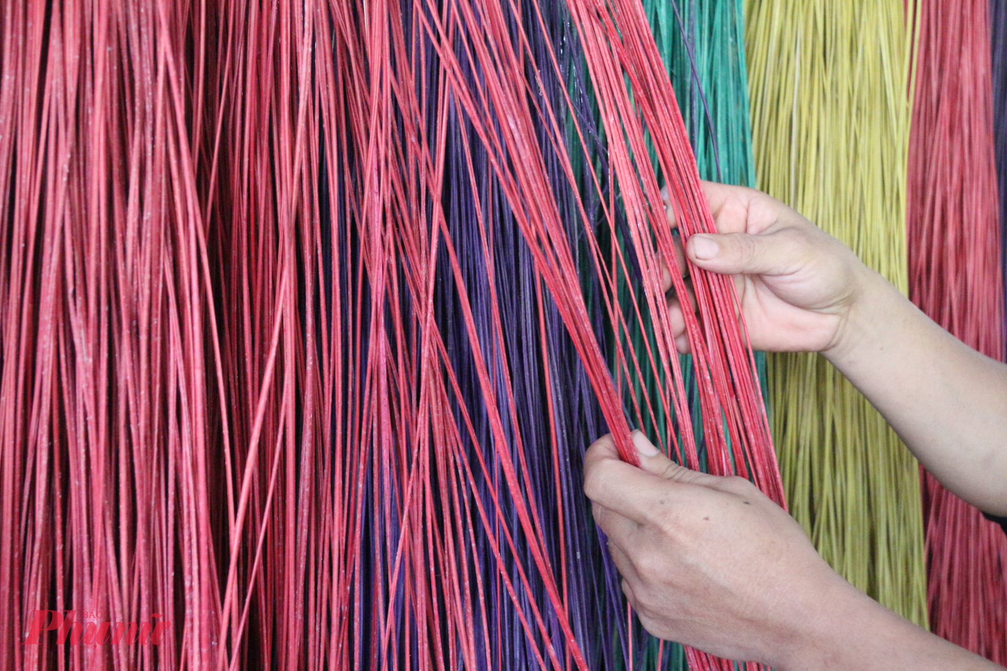 Nguyên liệu cói còn sót lại sau mưa lũ bị ẩm mốc