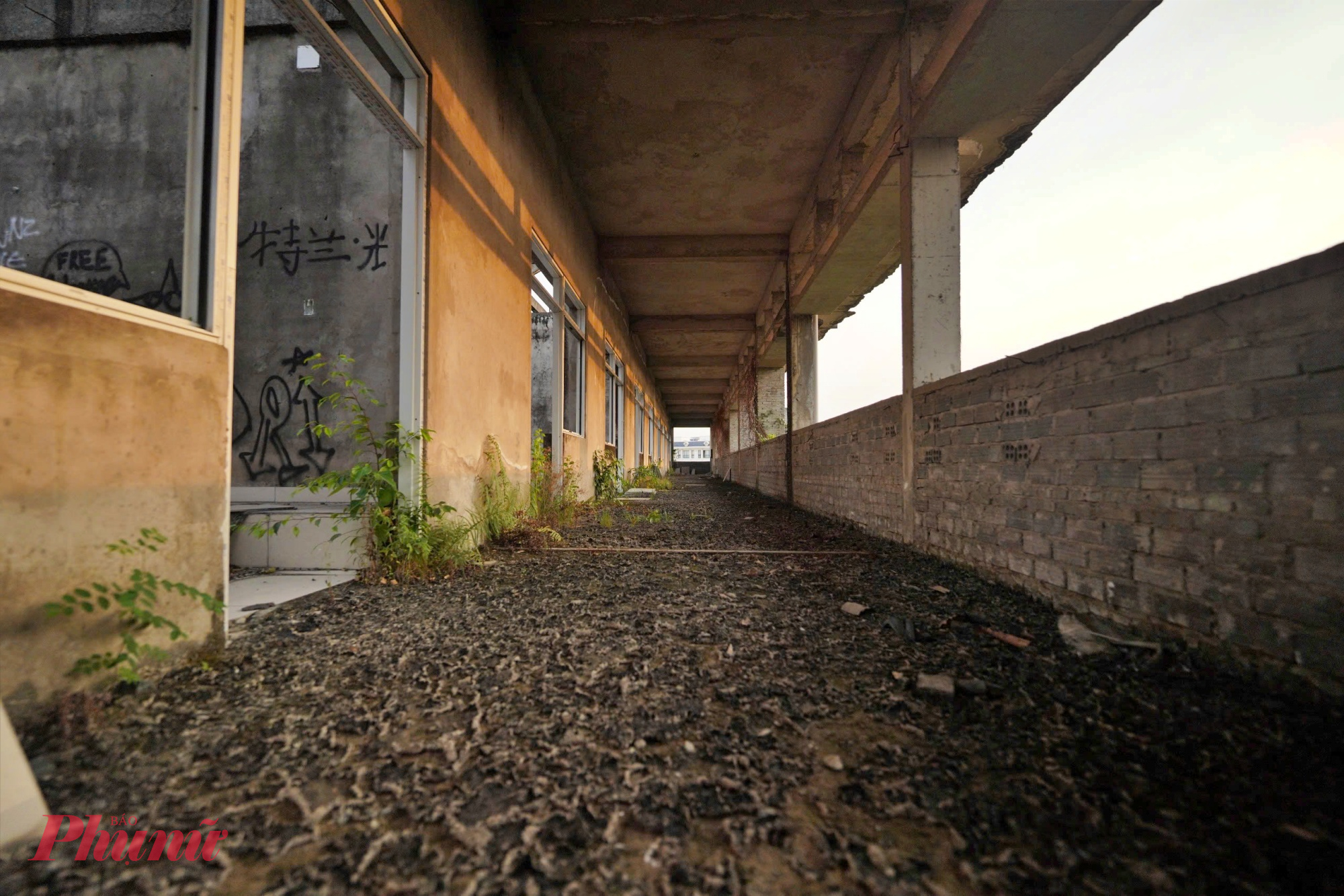 Trên bề mặt tường, rong rêu bám dày đặc, loang lổ từ chân móng lên cao, đặc biệt tại những khu vực khuất nắng. 