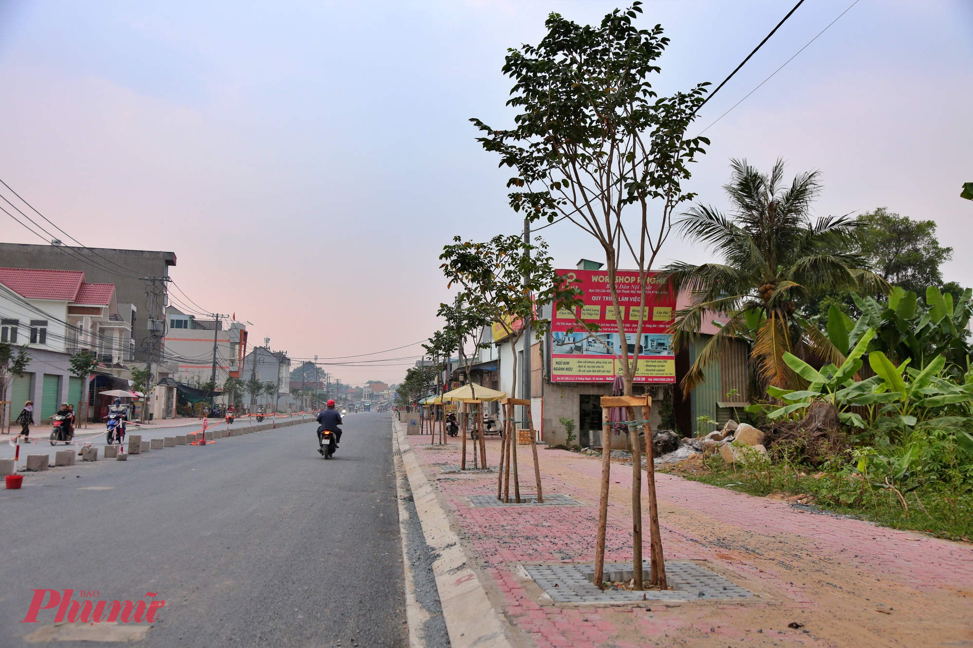 Một số đoạn đã trồng cây xanh.