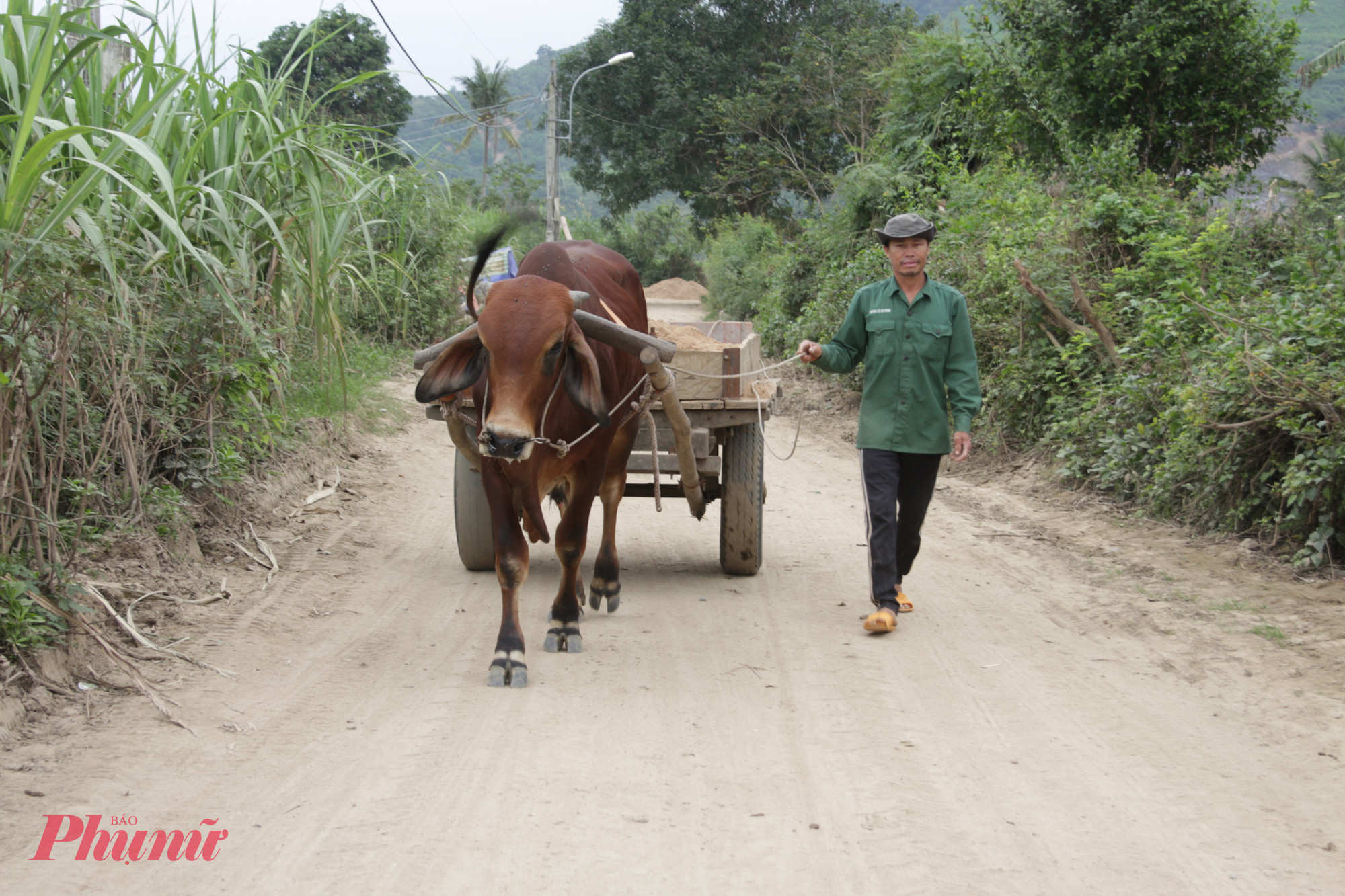 Nhịp sống đang trở lại với người dân xóm Bãi Điều