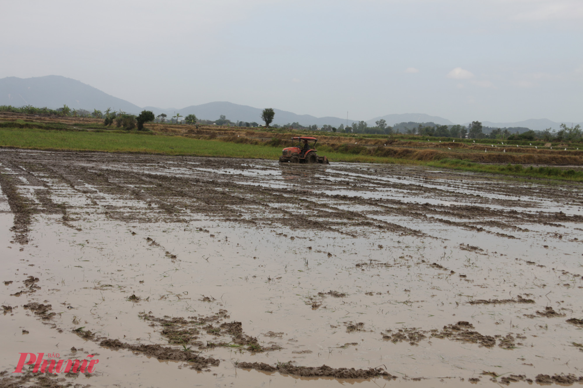 Ruộng đồng đang được cày xới để chuẩn bị xuống giống cho kịp vụ Đông Xuân