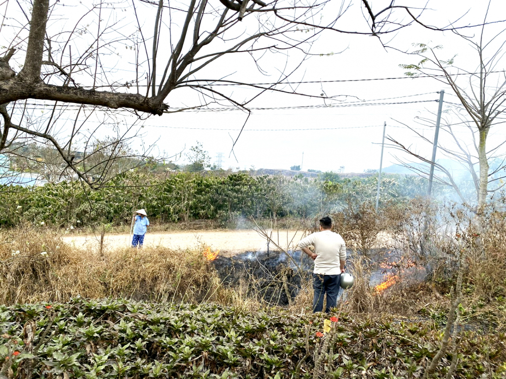 Mẹ tác giả đốt lá ngoài sân ngày giáp tết 