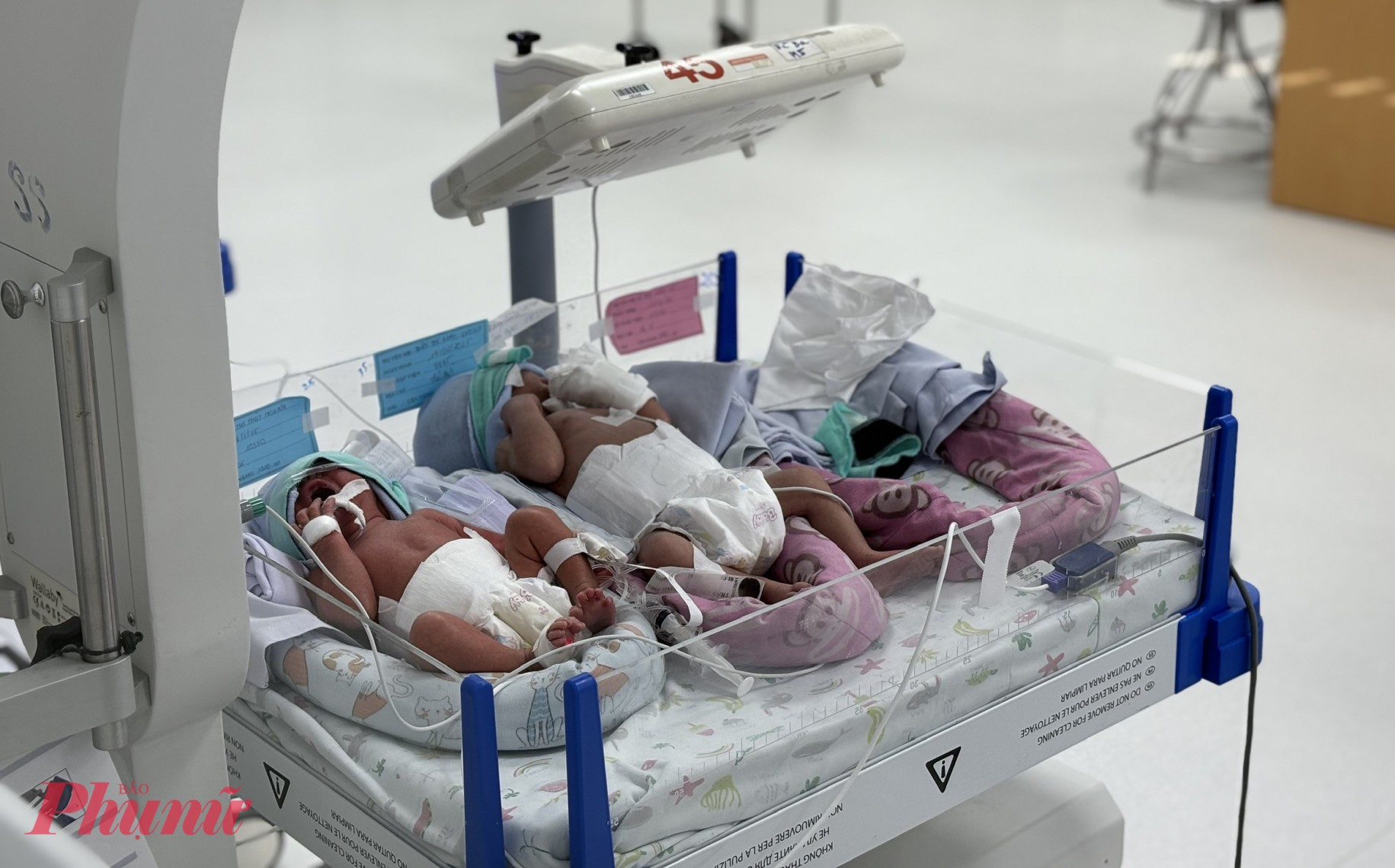 VKSNDTP khu vực 1 yêu cầu làm rõ thông tin vì sao 9 bé bị bỏ rơi đến nay chưa có giấy khai sinh, ảnh minh họa