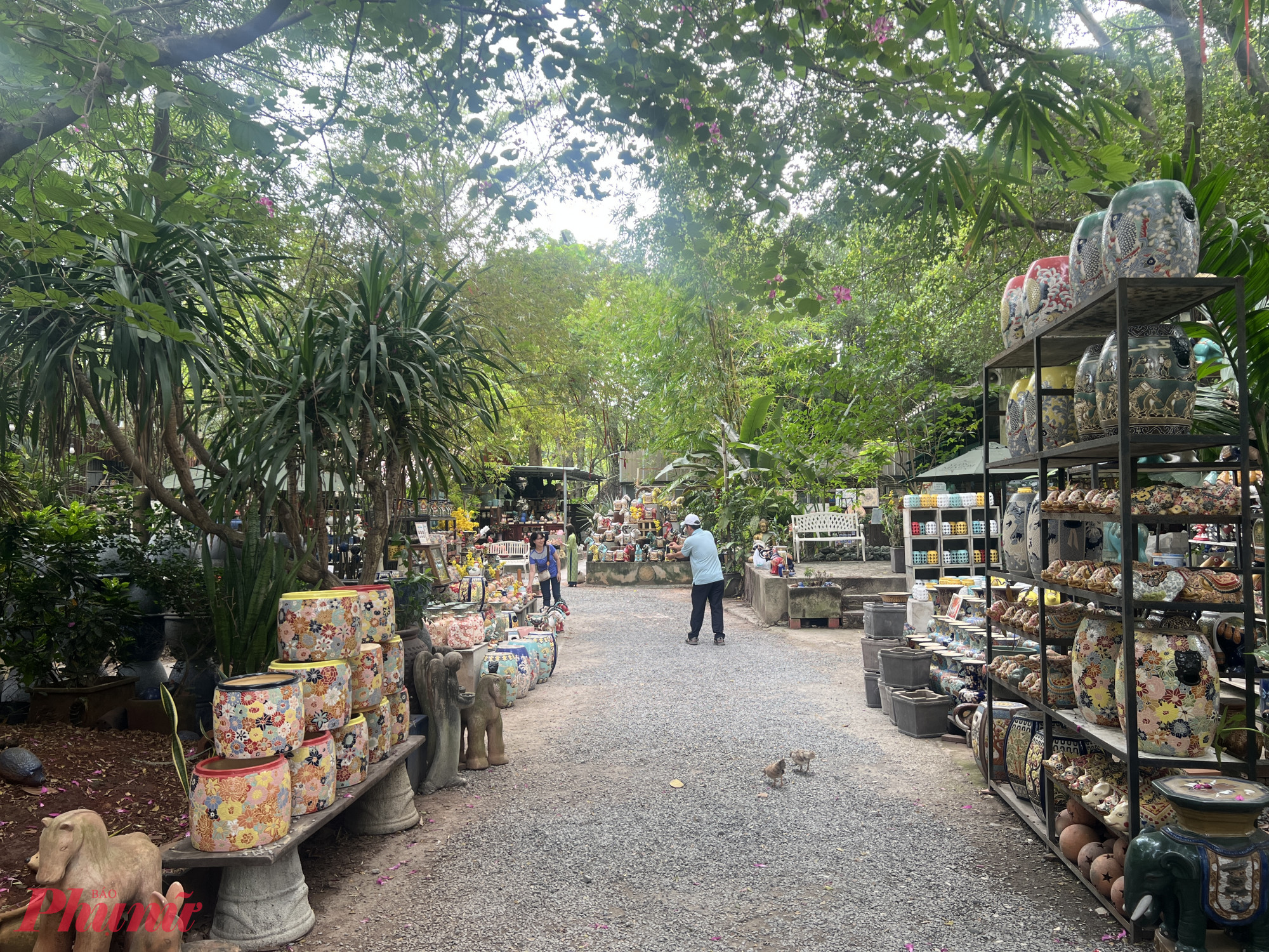 Nằm bên dòng sông Sài Gòn hiền hòa, Vườn Nhà Gốm tọa lạc tại số 20 Ngô Quyền (đường Gia Long cũ), Lái Thiêu, cách trung tâm TPHCM khoảng 20 km, tương đương 30–40 phút di chuyển. Không quá xa để đi trong ngày, nhưng đủ để mang lại cảm giác “đi trốn” khỏi phố thị đông đúc.