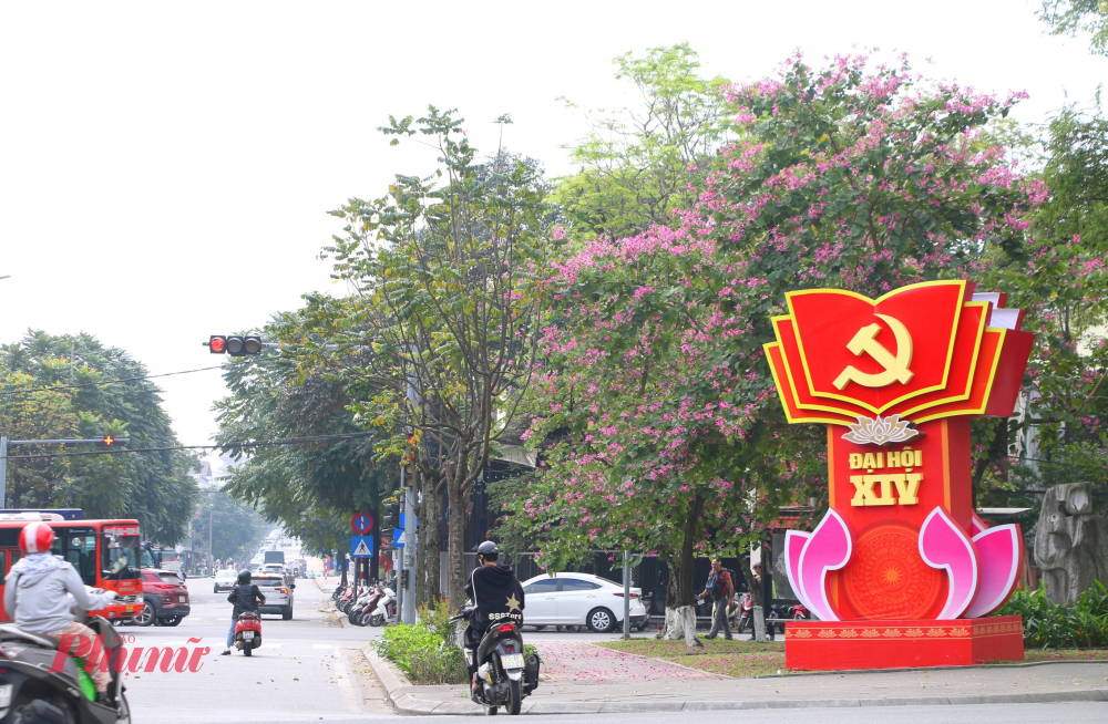 Sau hơn một năm trở thành thành phố trực thuộc Trung ương, thành phố Huế đang ghi dấu một bước ngoặt quan trọng trong tiến trình phát triển. 