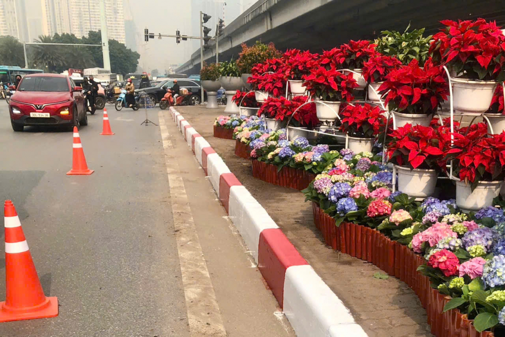 Các tuyến đường nội đô được trang trí, cảnh quan được bổ sung thêm nhiều hoa tươi