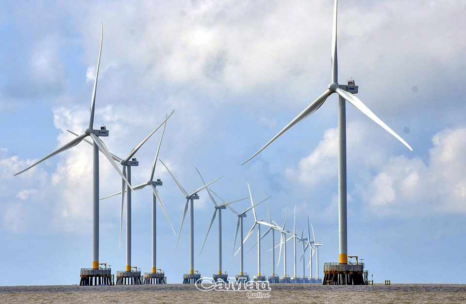 Điện gió ngoài khơi và điện gió ven biển trở thành động lực quan trọng thúc đẩy phát triển năng lượng tái tạo liên vùng sau hợp nhất. Ảnh: Trần Nguyên
