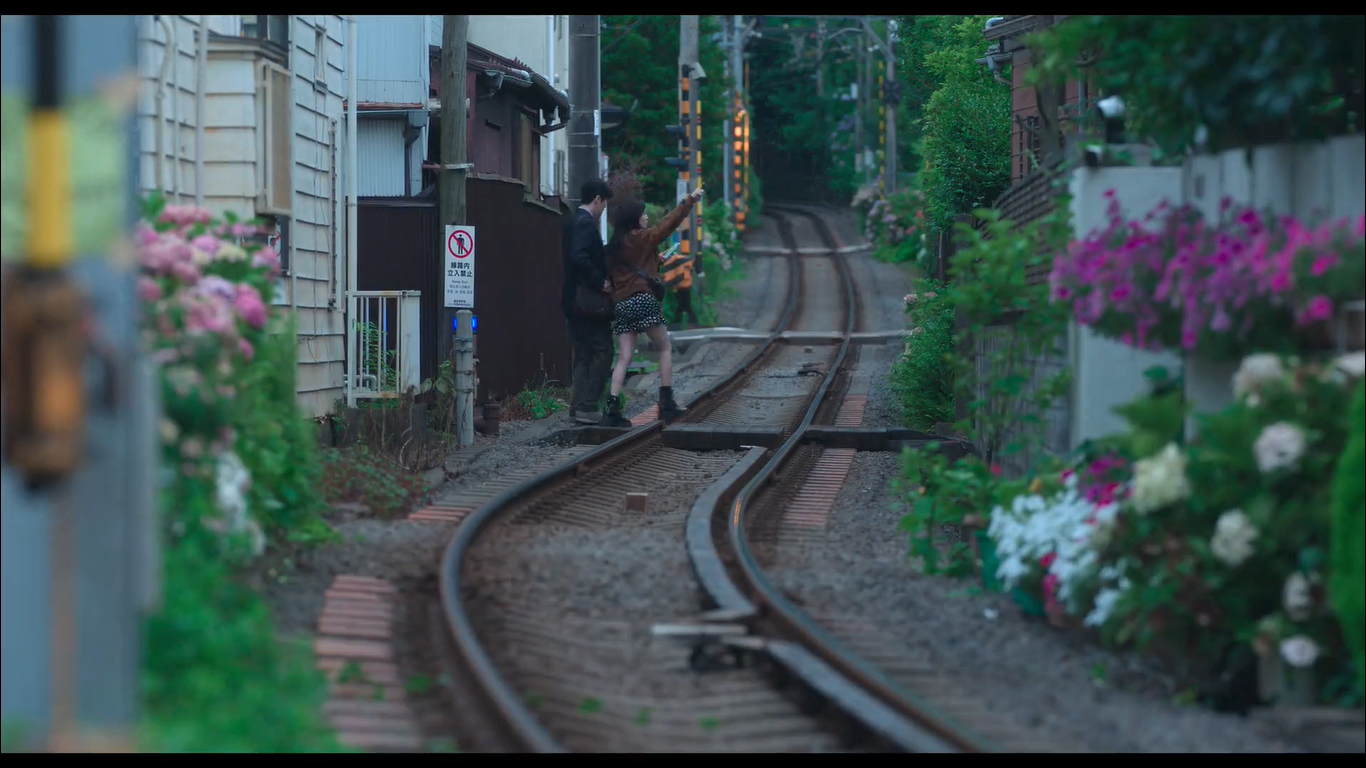 2 bên tuyến đường sắt Enoden đầy hoa