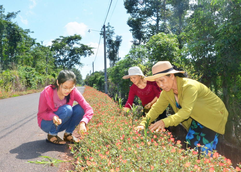Mô hình “Tuyến đường hoa” của các xã Kim Long, Bình Giã, Châu Đức... tạo nên cảnh quan sạch đẹp cho vùng nông thôn phía đông TPHCM