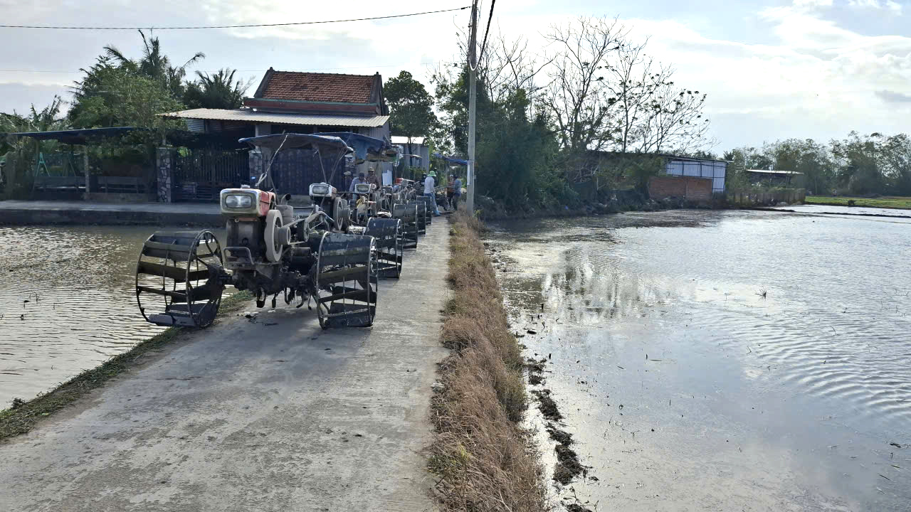 Đến gần giữa tháng 1/2026, hệ thống kênh mương nội đồng đã được khơi thông, sẵn sàng phục vụ việc gieo sạ vụ đông xuân. Đội máy cày ra ruộng.
