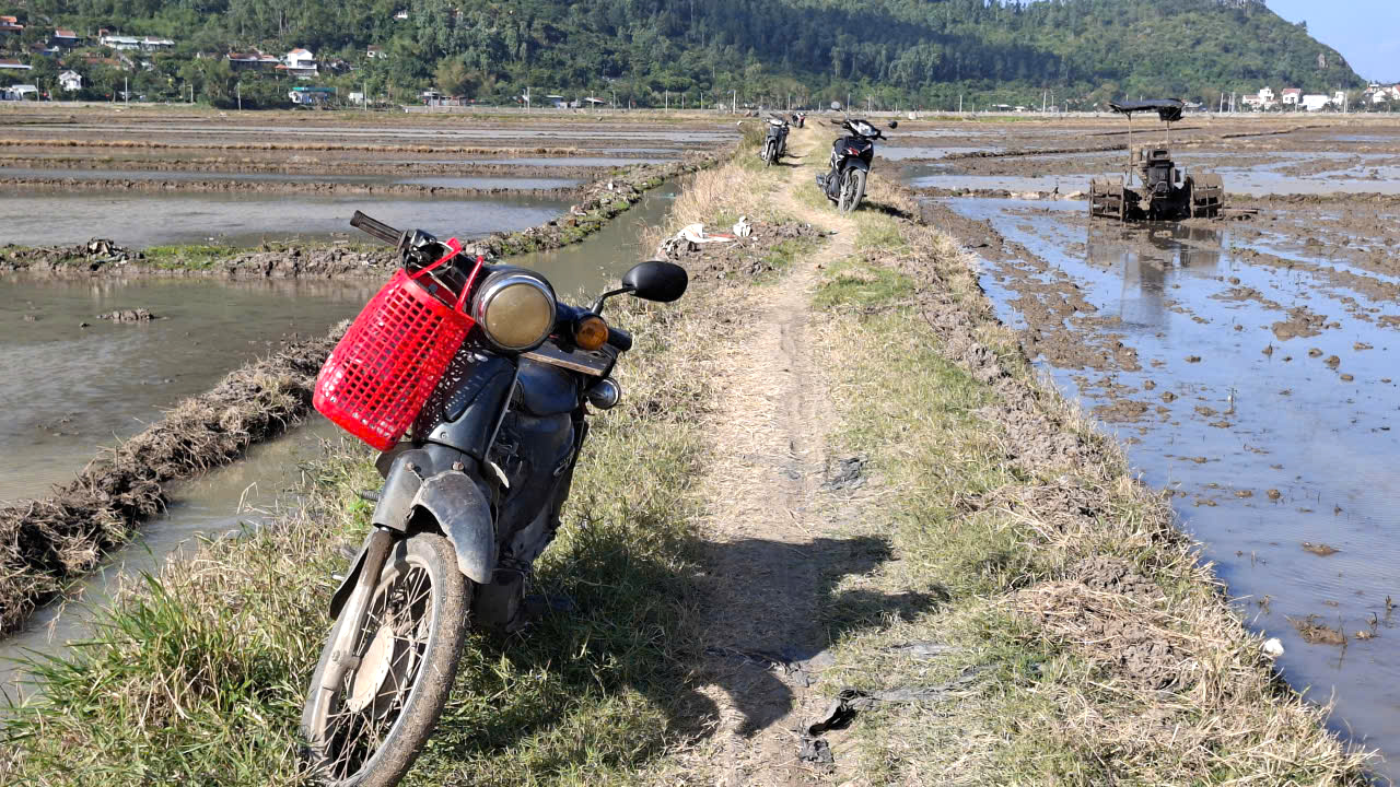 Dỡ cơ ra ruộng cày bừa luôn trưa