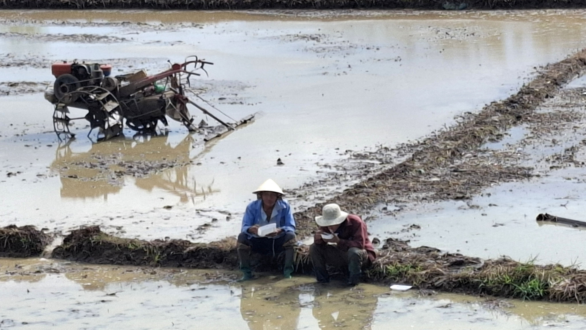 Nông dân ăn bữa trưa trên bờ ruộng để cày bừa 