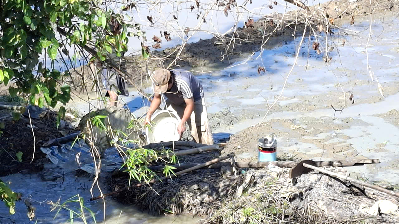 Vùng ruộng rộc (ruộng trũng) ở thôn Thạnh Đức xã Xuân Phước và thôn Tân An, xã Đồng Xuân khó thoát nước, nông dân thức đêm tát nước ruộng sạ.