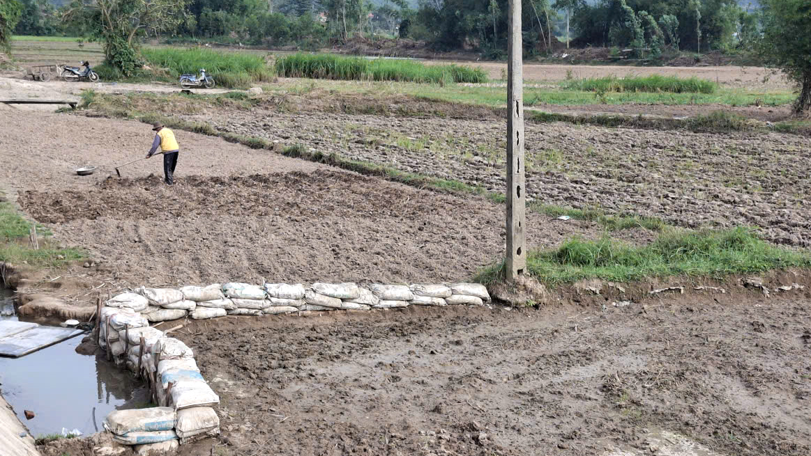 Ruộng đồng bị xói mòn nông dân dùng bao tải đắp bờ