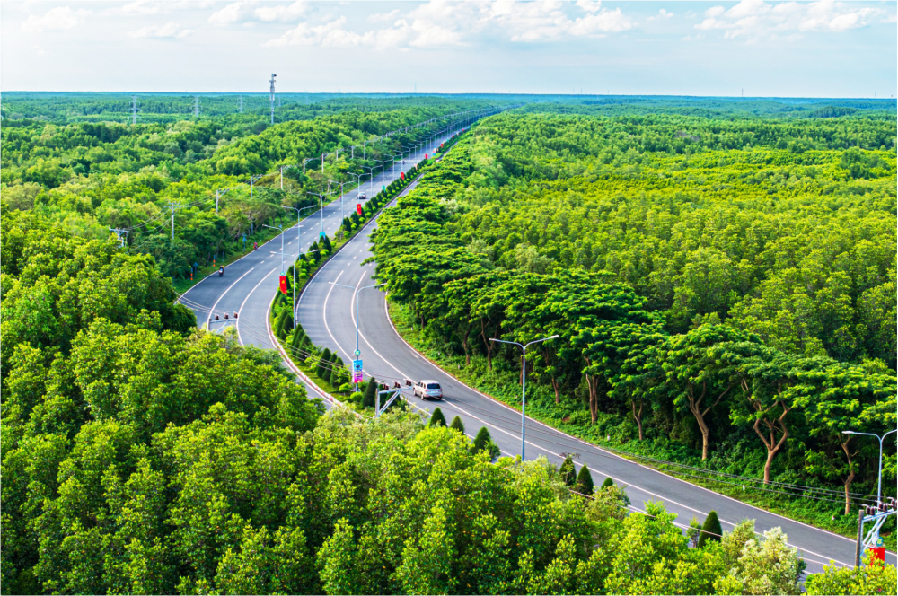 Hành trình sẽ đi qua các cụm rừng ngập mặn tại Cần Giờ. 