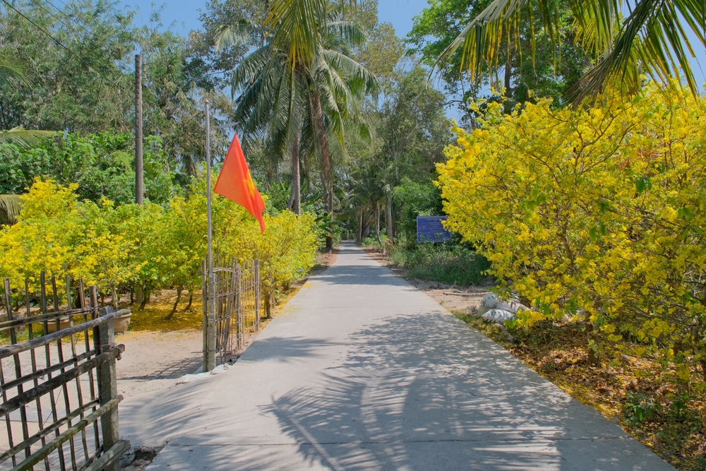 Ảnh minh họa: Shutterstock