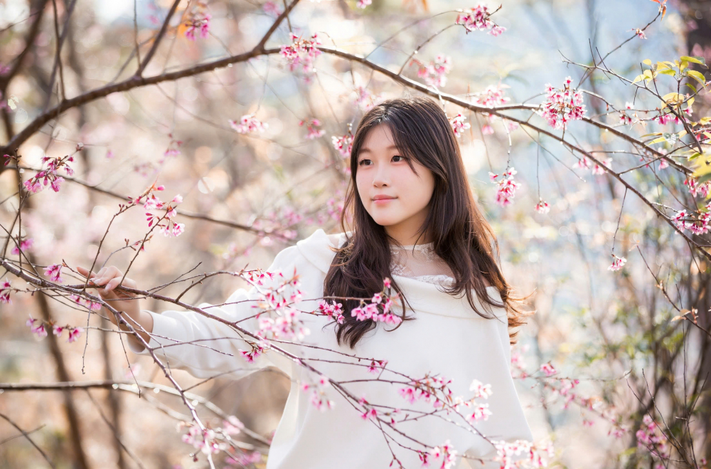  Dưới ánh nắng hanh vàng của mùa đông Tây Nguyên, sắc hồng của hoa hòa quyện cùng màu xanh của rừng già tạo nên một bản giao hưởng màu sắc rực rỡ. Chính quyền địa phương hiện đang tích cực khuyến khích bà con trồng thêm mai anh đào để phát triển du lịch sinh thái bền vững gắn với bảo tồn văn hóa.