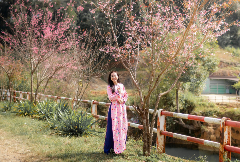 Những ngày đầu tháng Chạp, thôn Đưng K'Si (xã Đạ Chais, huyện Lạc Dương) chìm đắm trong sắc hồng rực rỡ của mai anh đào đang độ bung nở đẹp nhất. Ngôi làng của đồng bào Cờ Ho nằm cách trung tâm Đà Lạt khoảng 50km hiện lên như một bức tranh thơ mộng giữa đại ngàn.