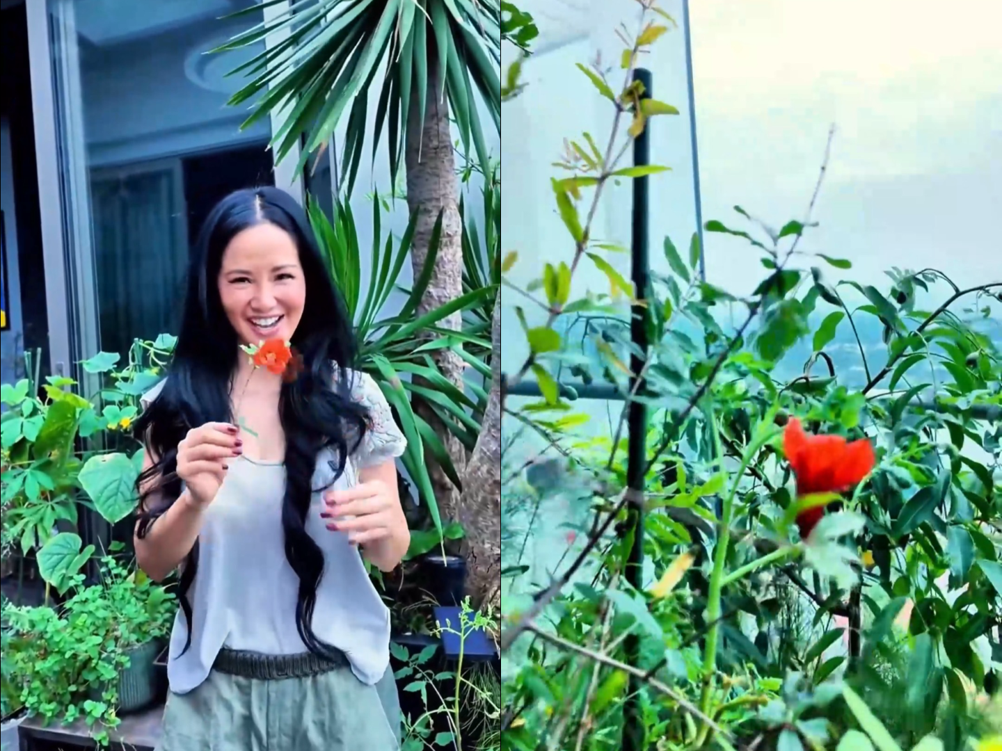 Hồng Nhung tự ví mình là người trồng trọt nghiệp dư. Với nữ ca sĩ việc trồng, chăm sóc cây cũng được xem là một hình thức thư giãn.