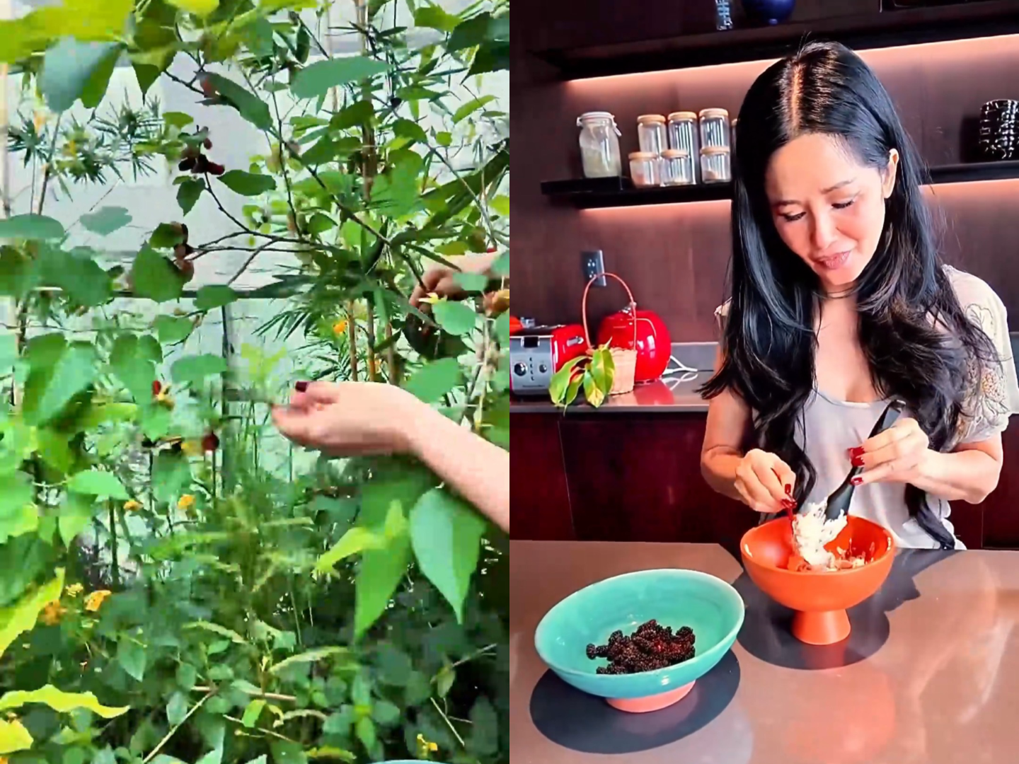 Tại khu vườn này, Hồng Nhung còn trồng các loại hoa, cây kiểng lá. Trong vườn có một cây dâu tằm sai trĩu quả. Hồng Nhung thu hoạch dùng cho bữa sáng.