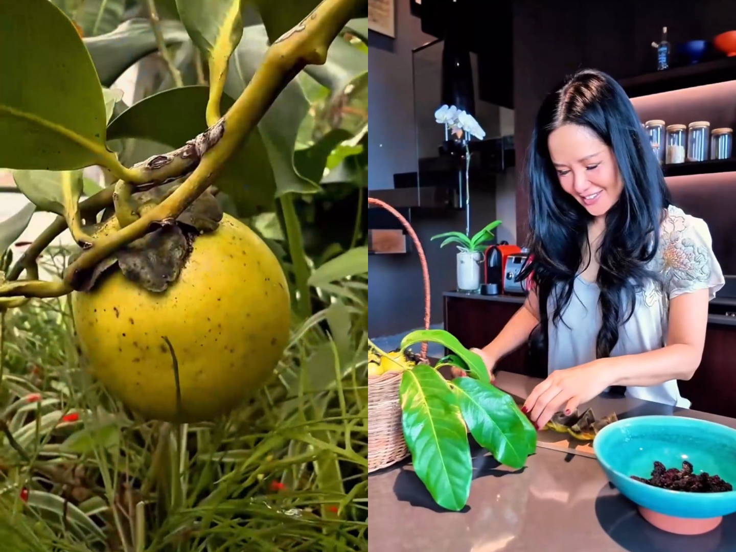 Chị tâm sự khi thu hoạch quả nhớ đến cảm giác ngày xưa còn bé khi về quê. Khi đã lớn, chị vẫn thích cảm giác hạnh phúc, thư giãn từ những việc nhỏ xíu như thế.