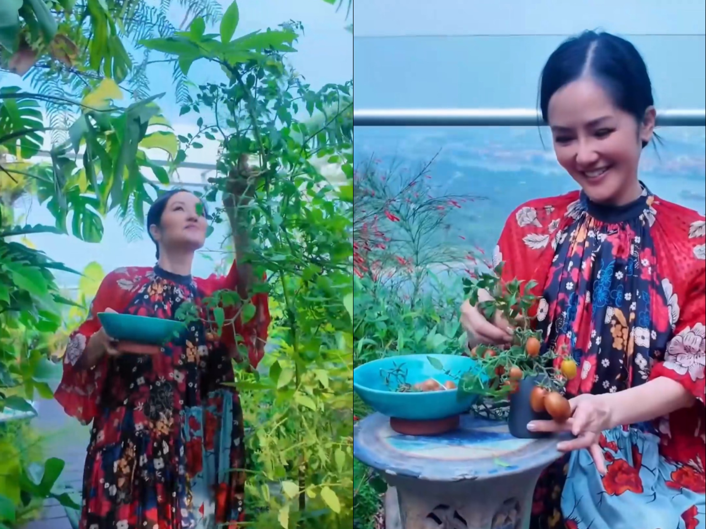 Sau khi ăn xong còn thừa khi vứt hạt sẽ mọc lên cây cà chua con. Sau đó, ca sĩ dùng các cây chống để cây cà chua có thể leo lên. 