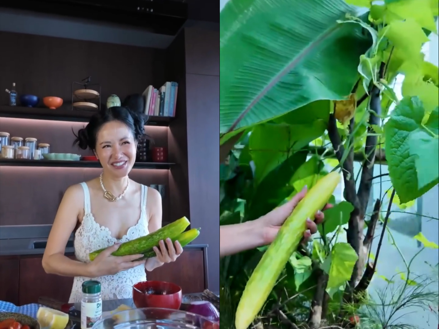 Hồng Nhung cũng trồng dưa leo trong khu vườn. Đây là loại quả dễ trồng, sinh trưởng tốt. 