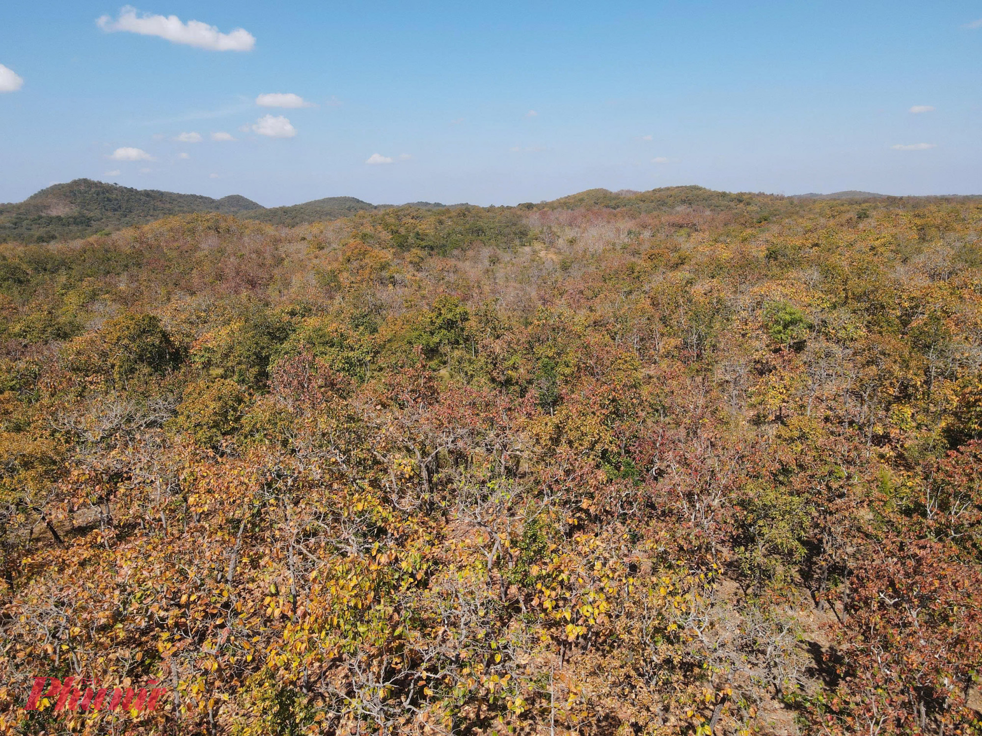 Từ khoảng tháng 11 năm trước đến tháng 4 năm sau, khi Tây Nguyên bước vào mùa khô, rừng khộp ở Vườn Quốc gia Yok Đôn cũng bắt đầu bước vào mùa thay lá. 