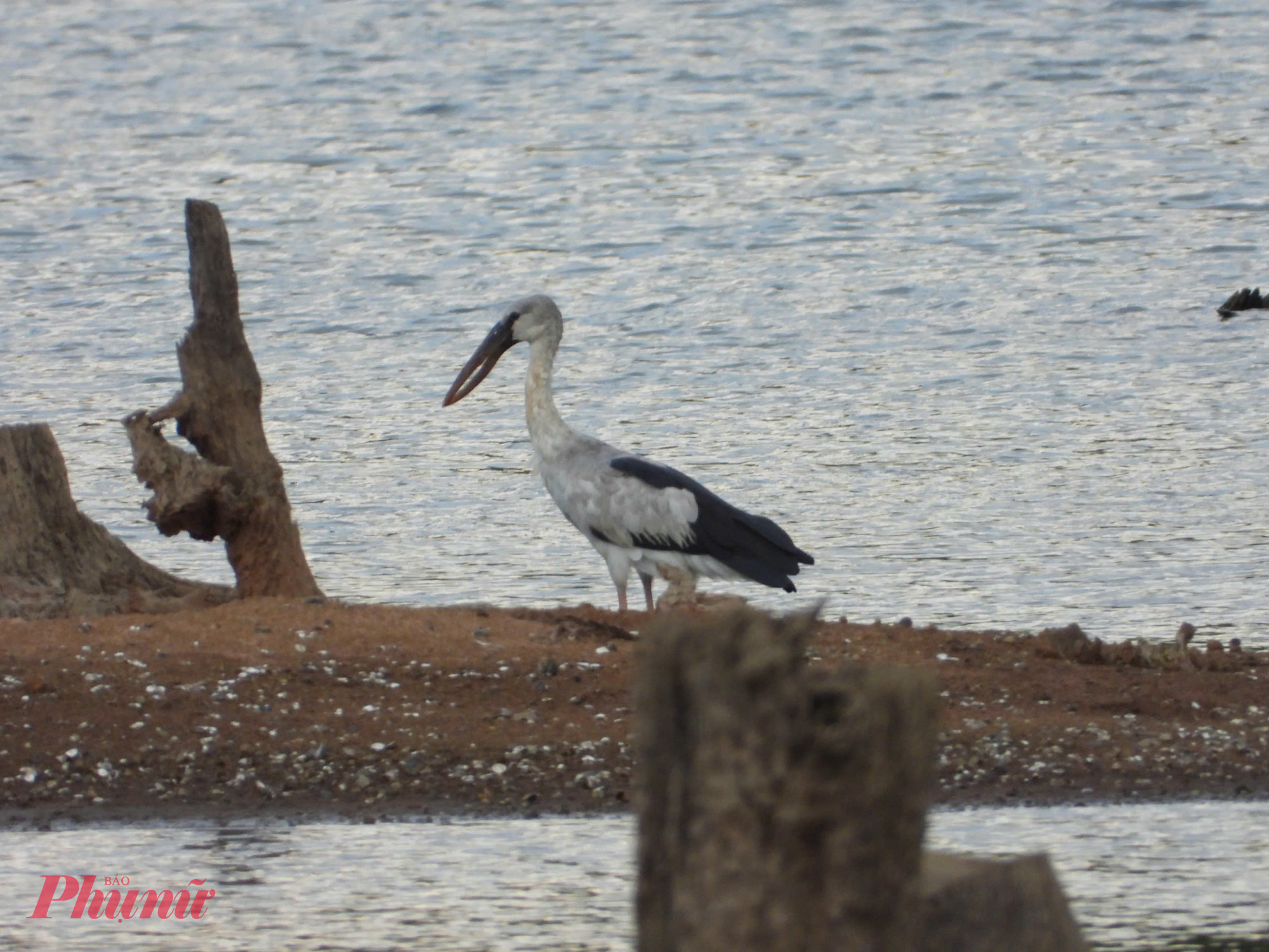 Các cán bộ kiểm lâm cũng tổ chức tuần tra dọc các tuyến suối, băng qua các cánh rừng để bảo vệ các loài động vật khỏi sự săn bắn của con người. Qua đó, gìn giữ “lá phổi xanh” của đất nước.