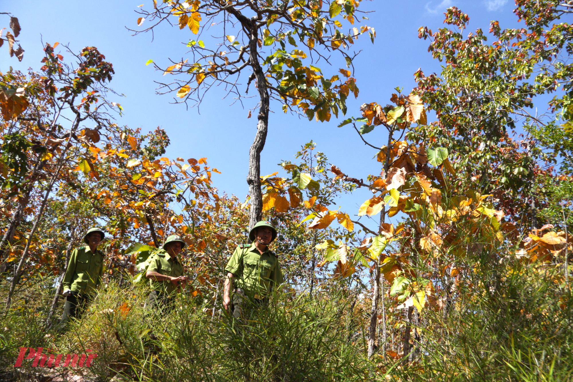Vào mùa khô, lực lượng kiểm lâm thường xuyên tuần tra trong thời rất nóng bức, để xử lý các vật liệu cháy và cảnh báo những đám cháy có nguy cơ ảnh hưởng đến thực vật và động vật sinh sống trong Vườn. 