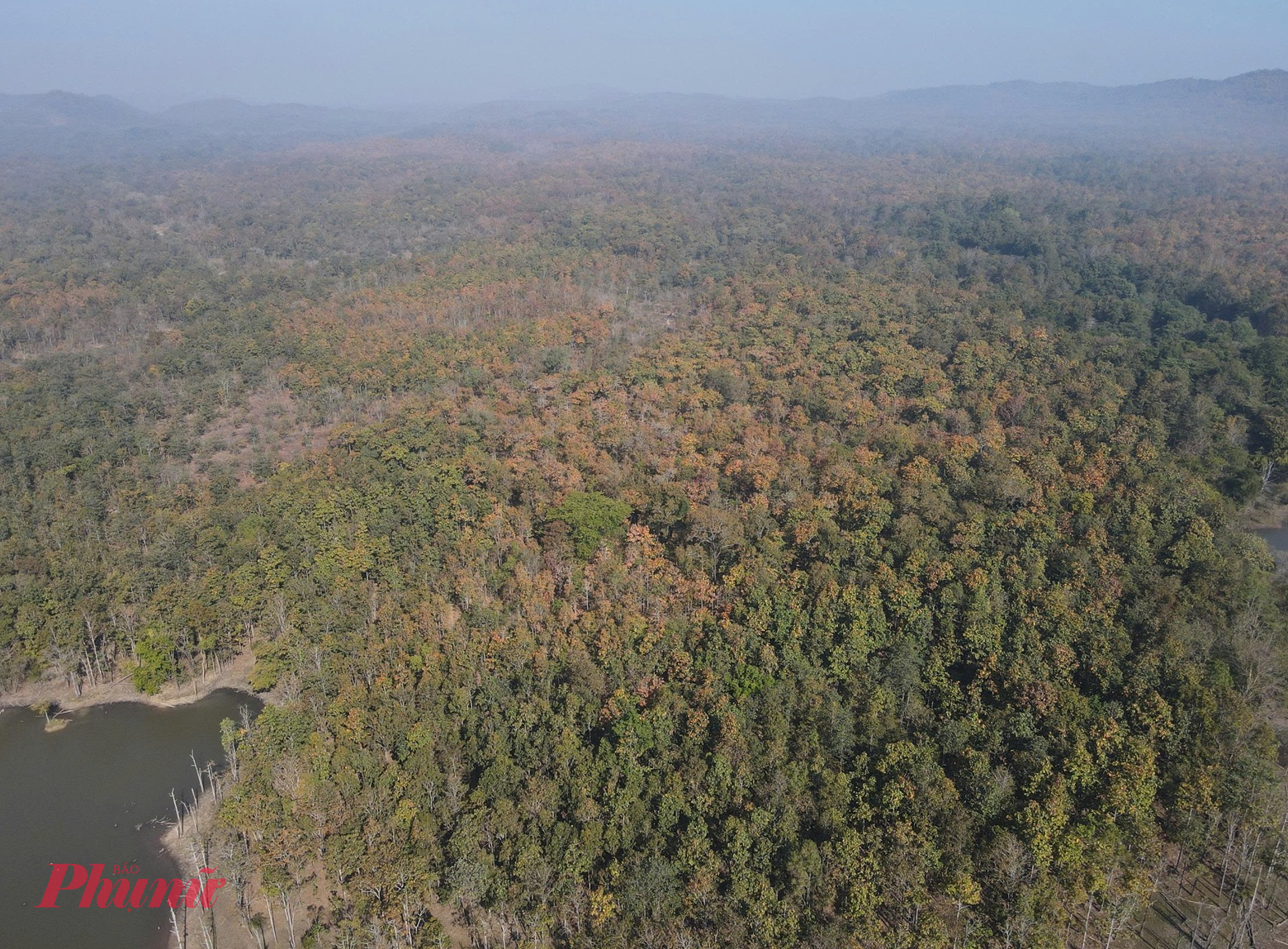 Cách trung tâm tỉnh Đắk Lắk khoảng 38km, Vườn quốc gia Yok Đôn có diện tích hơn 115.500ha, là khu rừng đặc dụng lớn thứ hai của Việt Nam. 