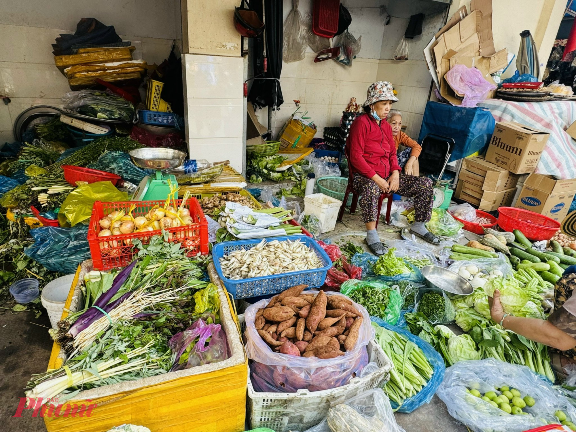 Cả khu chợ, số lượng điểm bán kiệu tươi chỉ khoảng 4 điểm bán, mỗi nơi một giá khác nhau. 