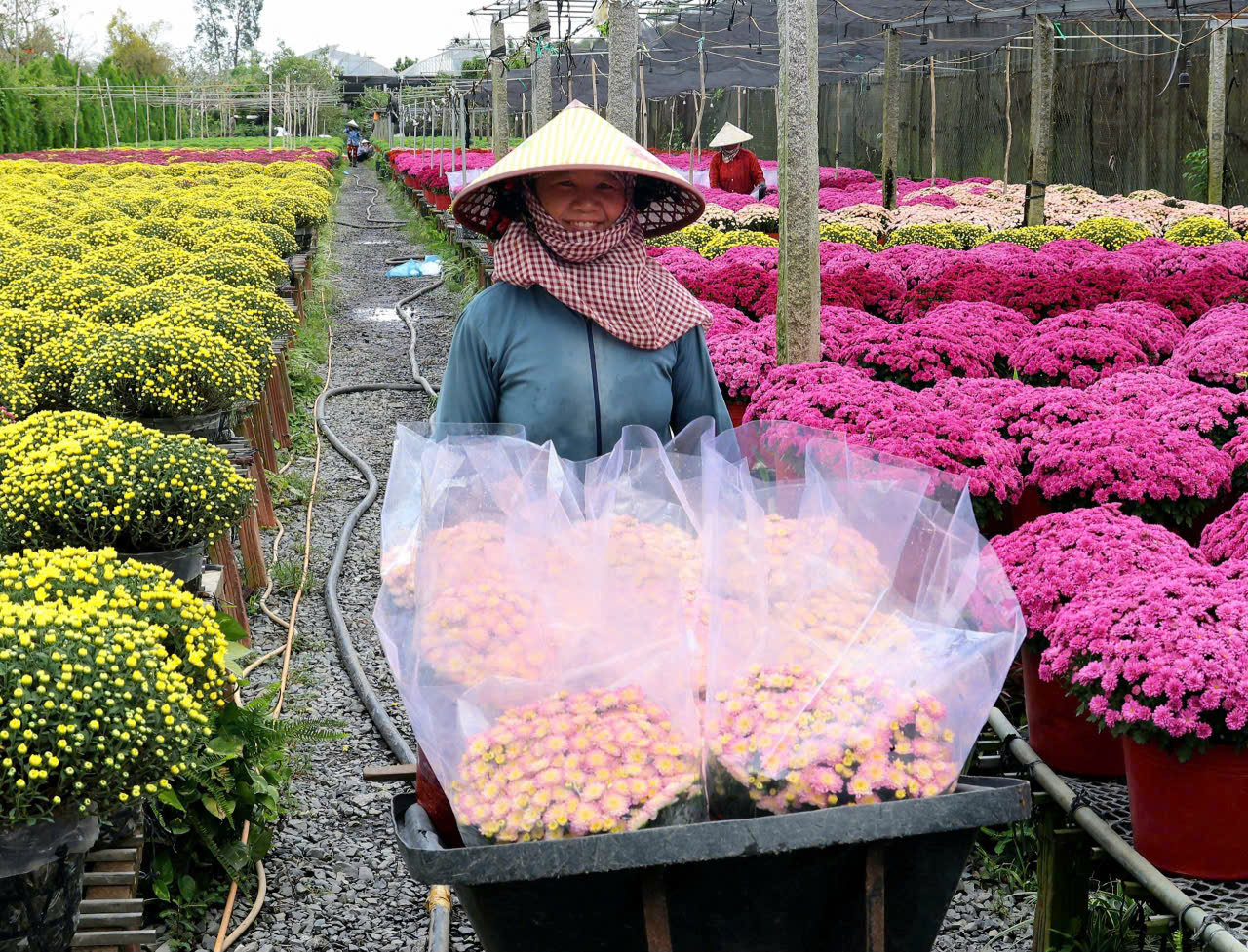 Ngoài ngắm, chụp ảnh và mua hoa mang về, nếu đến Sa Đéc, bạn đừng quên thưởng thức những món ngon đặc sản địa phương - Ảnh: Phước Vũ