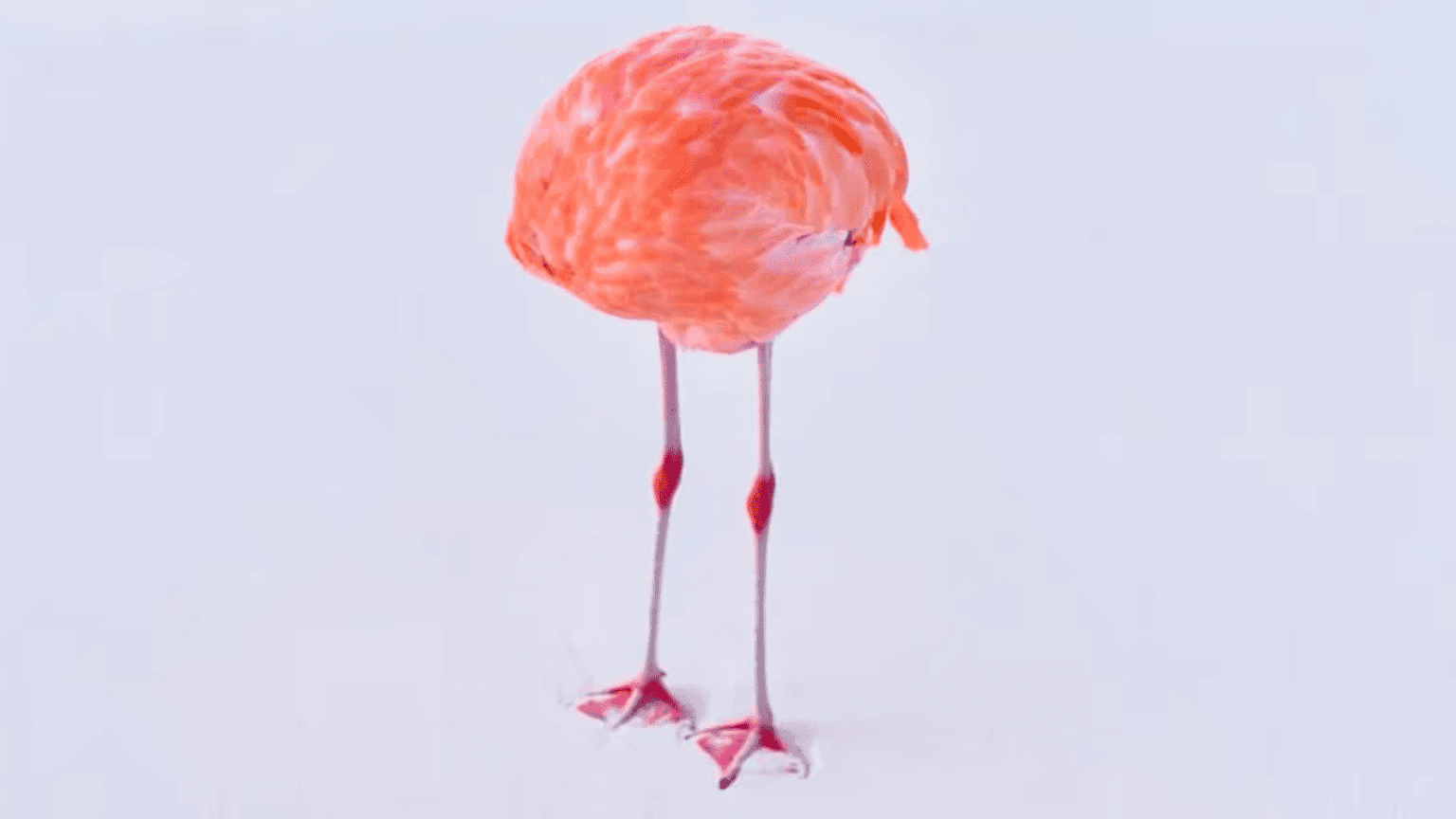 Bức  ảnh  Flamingo