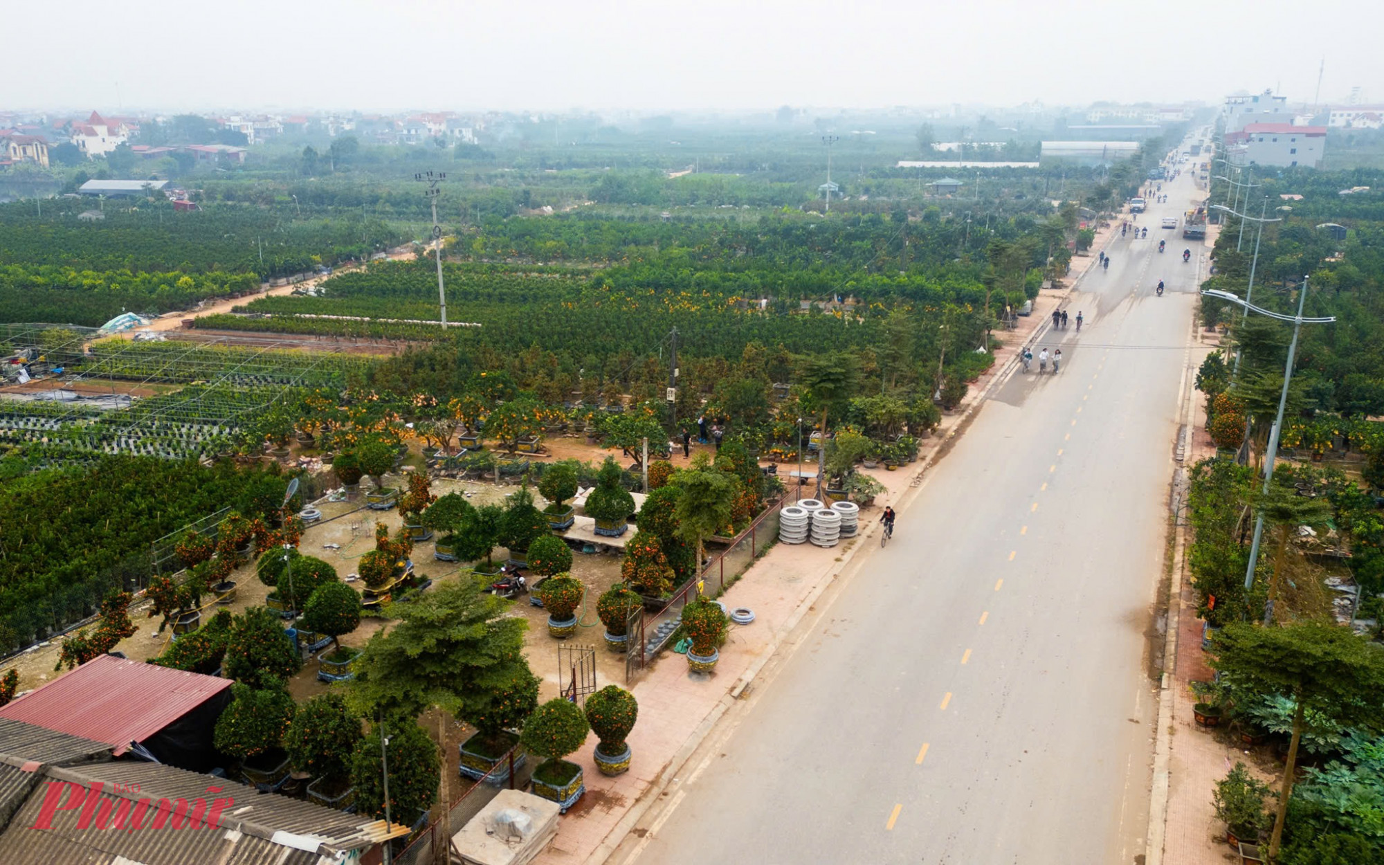 Còn hơn một tháng mới đến Tết Nguyên đán Bính Ngọ 2026, nhưng không khí tại thủ phủ hoa cây cảnh Văn Giang (Hưng Yên) đã vô cùng náo nhiệt. 