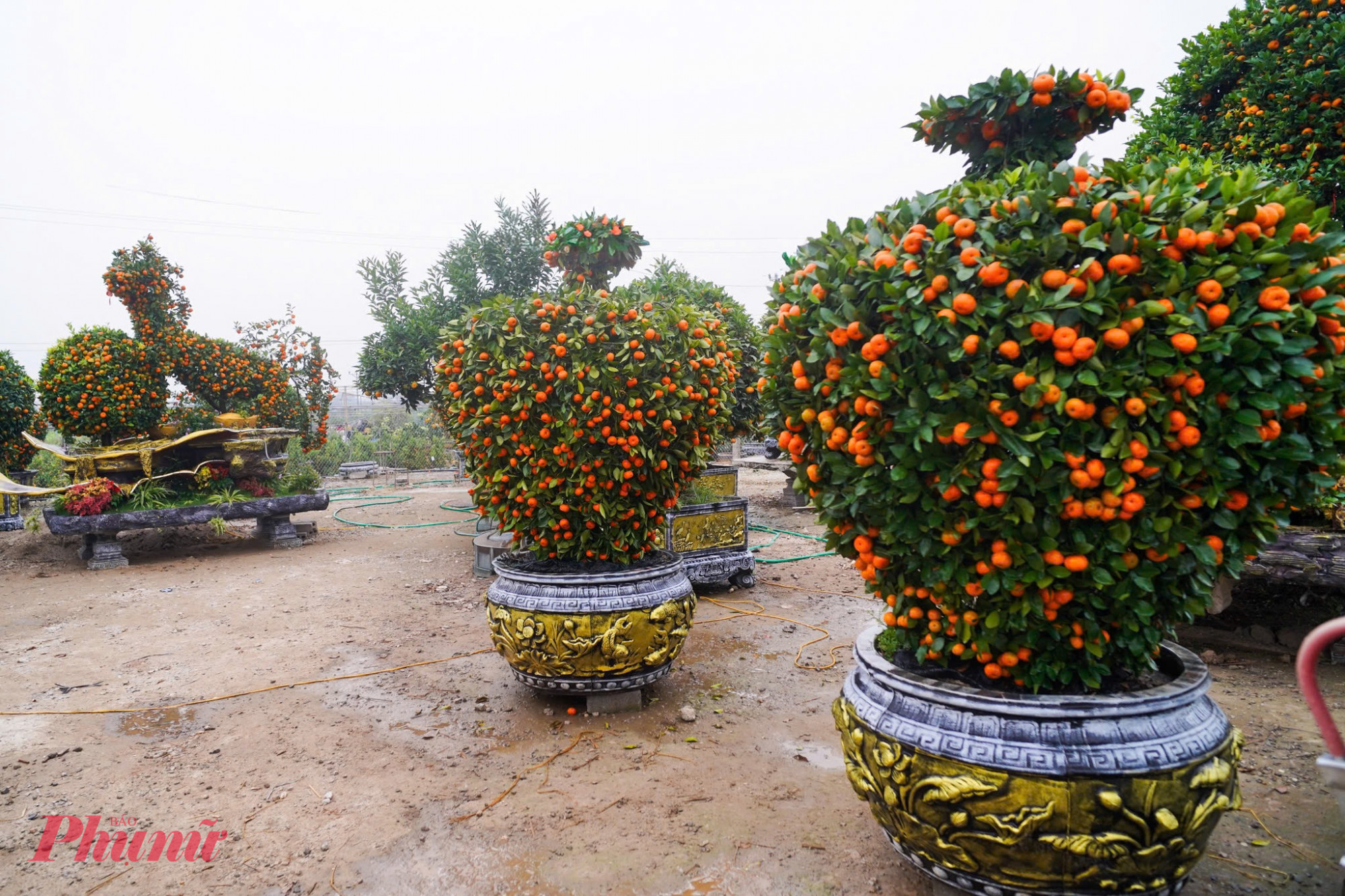 Không chỉ có linh vật ngựa, thị trường Văn Giang năm nay còn rực rỡ với nhiều mẫu mã mang ý nghĩa phong thủy sâu sắc: