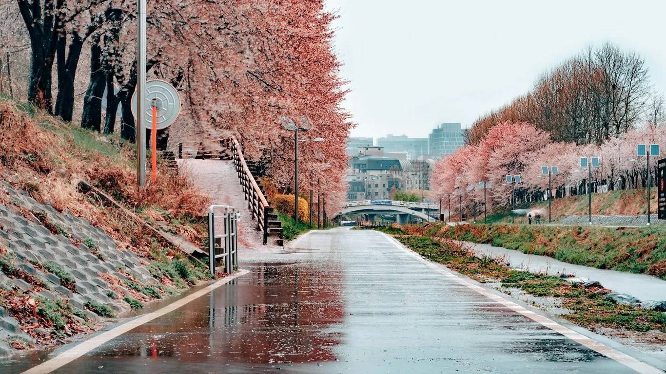 Seoul, Hàn Quốc. Bộ phim kết thúc phần quay ngoại cảnh tại Seoul. Cảnh quay tại cung điện Josun làm nổi bật sự tinh tế và giàu cảm xúc của các nhân vật. Bạn có thể tham quan cung điện Gyeongbokgung, dạo quanh làng Hanok Bukchon, ghé bảo tàng Quốc gia Hàn Quốc. Seoul cách sân bay Incheon 52 km.