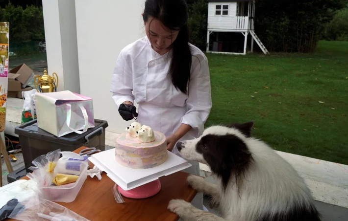 Các lễ cưới cho thú cưng cũng sang trọng và đầy đủ các nghi lễ